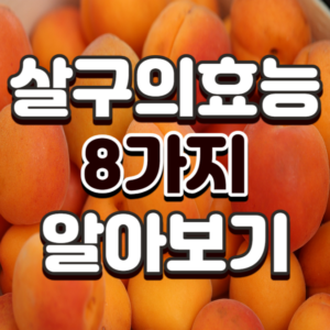 살구의 효능 8가지와 부작용 알아보기