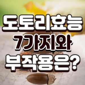 도토리 효능