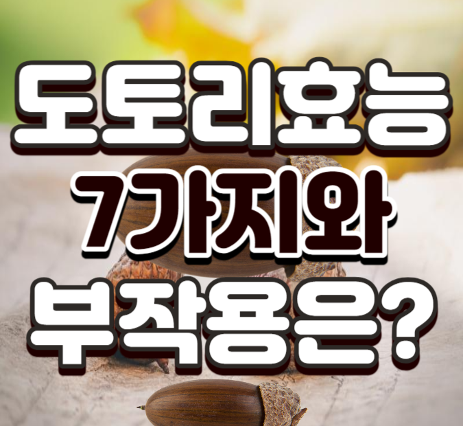 도토리 효능