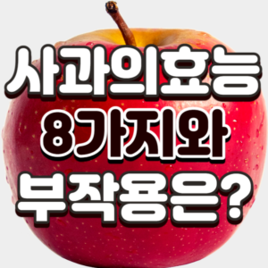 사과의 효능